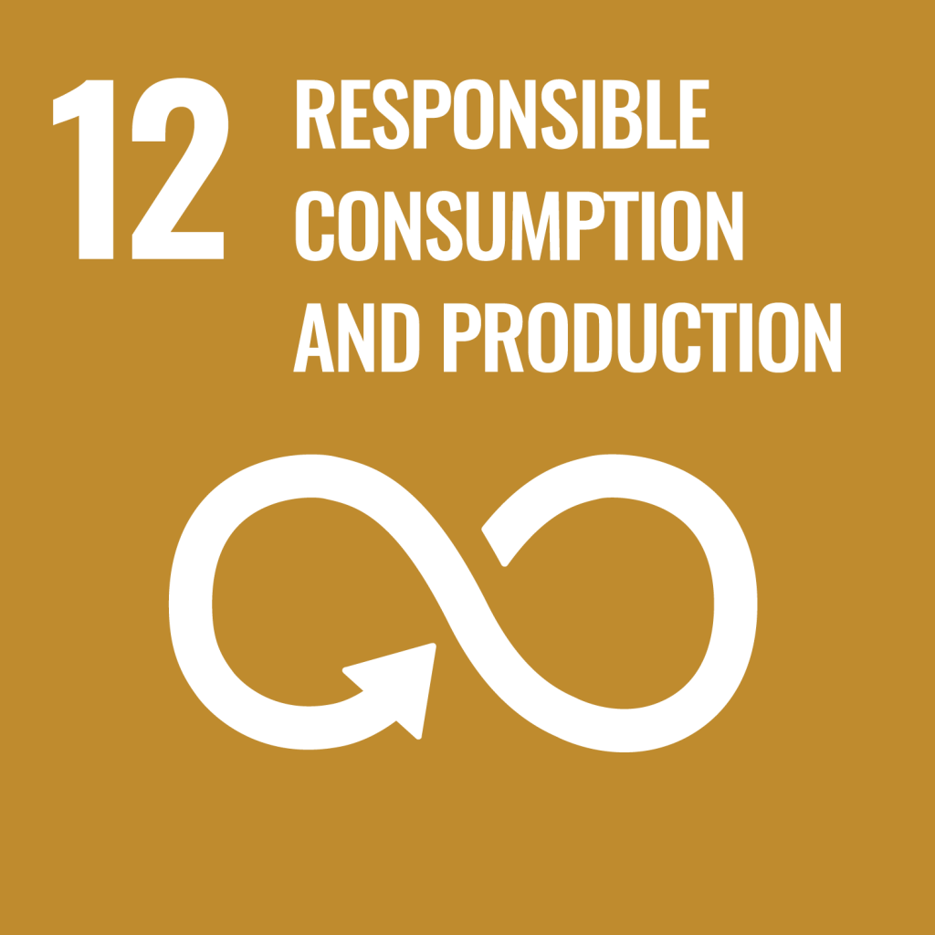 UN SDG Goal 12: Responsible Consumption & Production