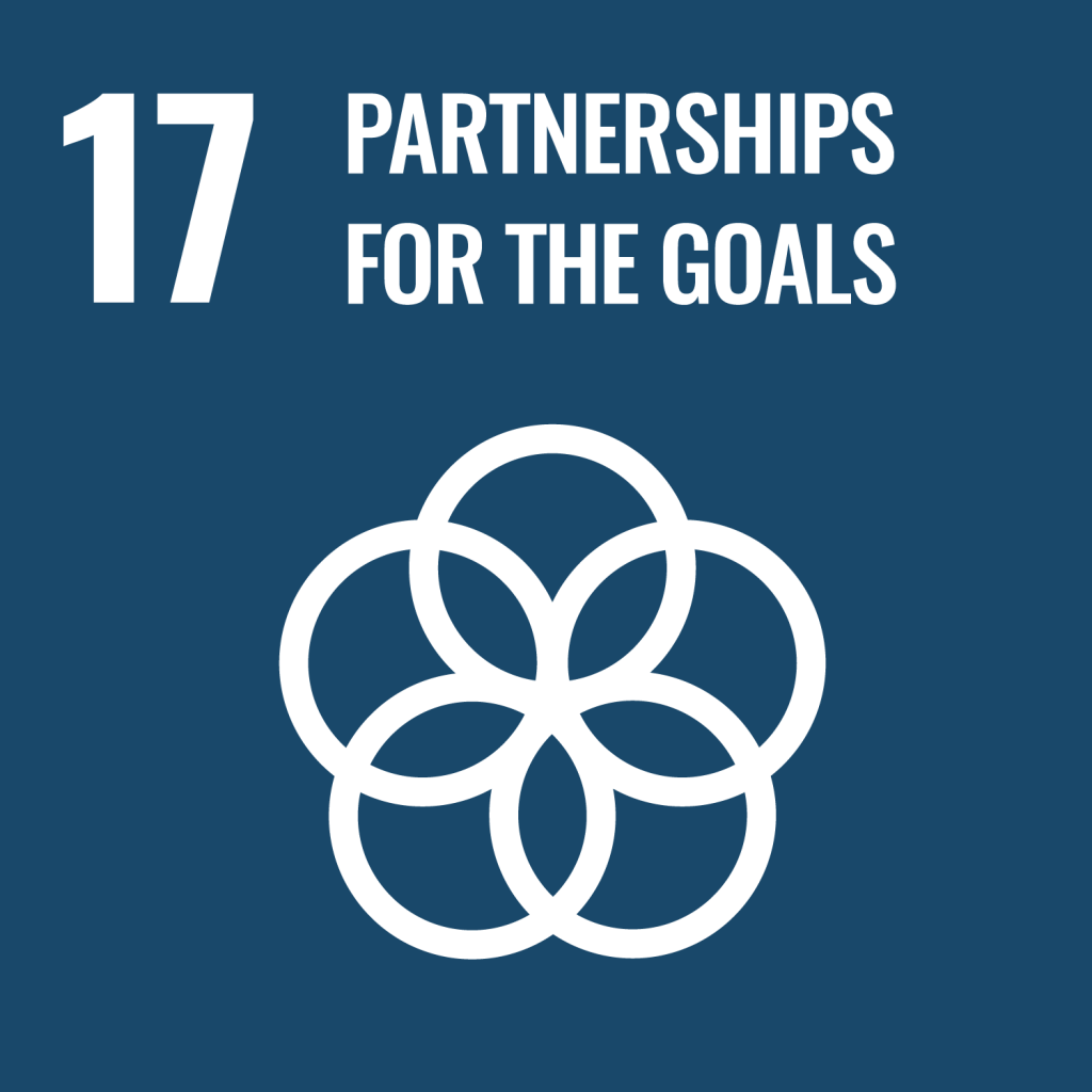 UN SDG Goal 17: Partnerships for the Goals